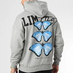 Budget 😍 Sweat Capuche LL692 Gris de Ikao 😉